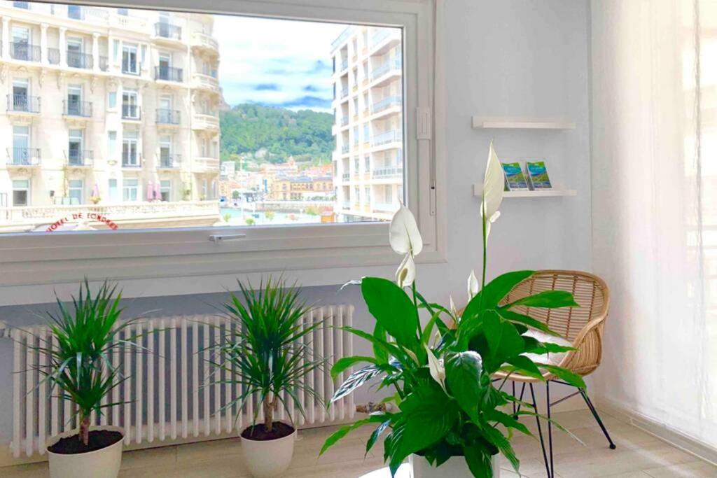 New Gorgeous Central Apartment - Beachfront - 3 Bd San Sebastián Exterior foto